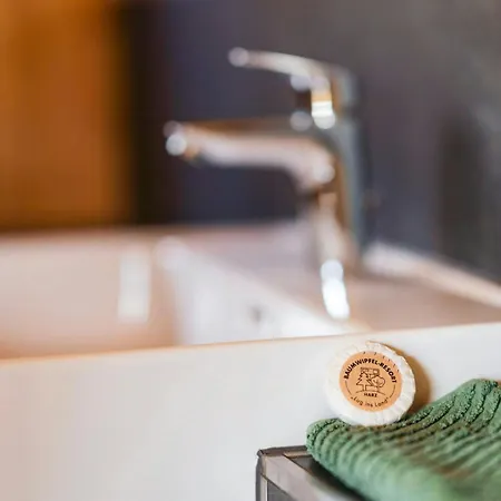 Treetop Loft In Harz National Park Ilsenburg