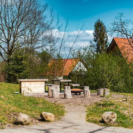 Hébergement de vacances Treetop Loft In Harz National Park Ilsenburg