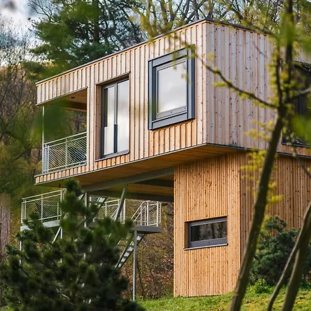 Treetop Loft In Harz National Park Ilsenburg (Harz)