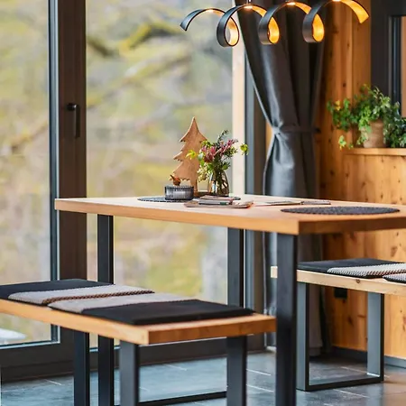 Hébergement de vacances Treetop Loft In Harz National Park Ilsenburg