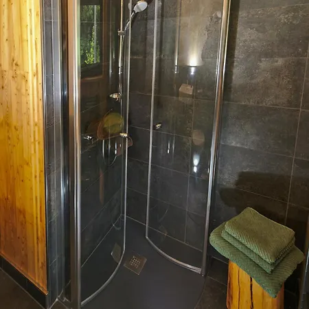 Treetop Loft In Harz National Park Ilsenburg (Harz)