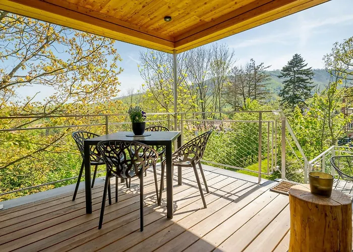 Treetop Loft In Harz National Park