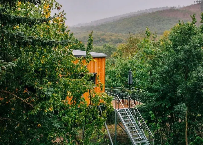 Treetop Loft In Harz National Park *